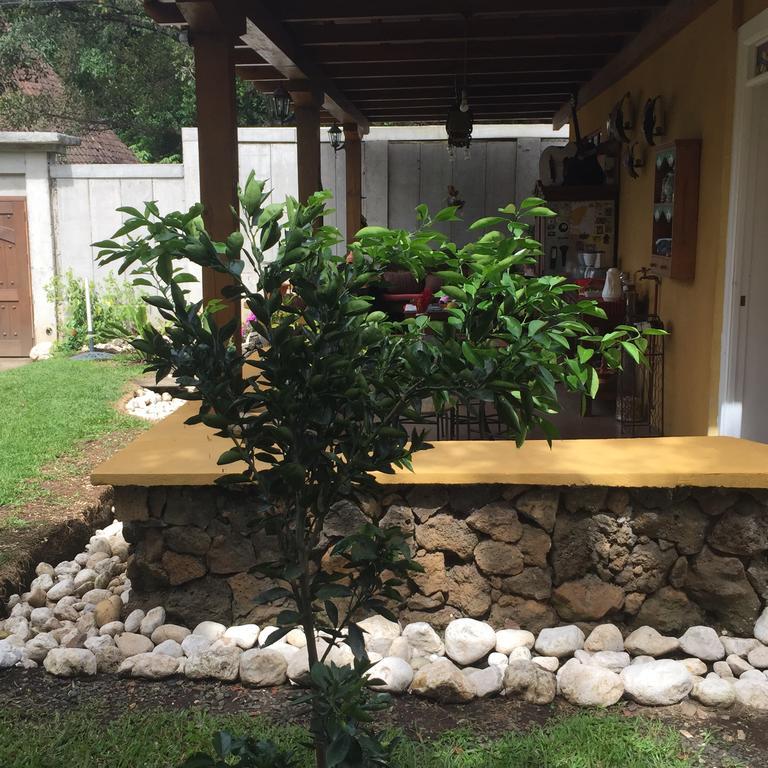 Airport Rio Segundo Studio Bed and Breakfast Alajuela Exteriör bild