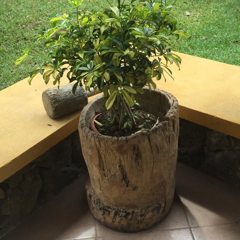Airport Rio Segundo Studio Bed and Breakfast Alajuela Exteriör bild